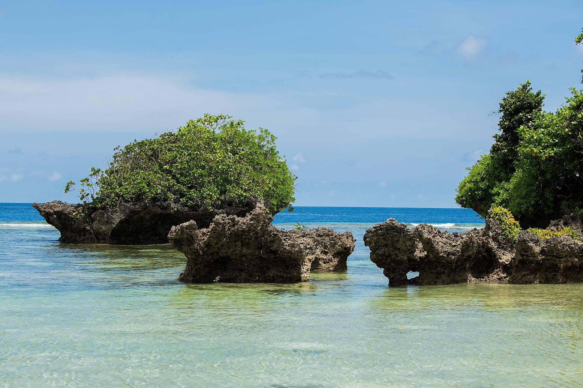 Odyssée en Nouvelle-Guinée 