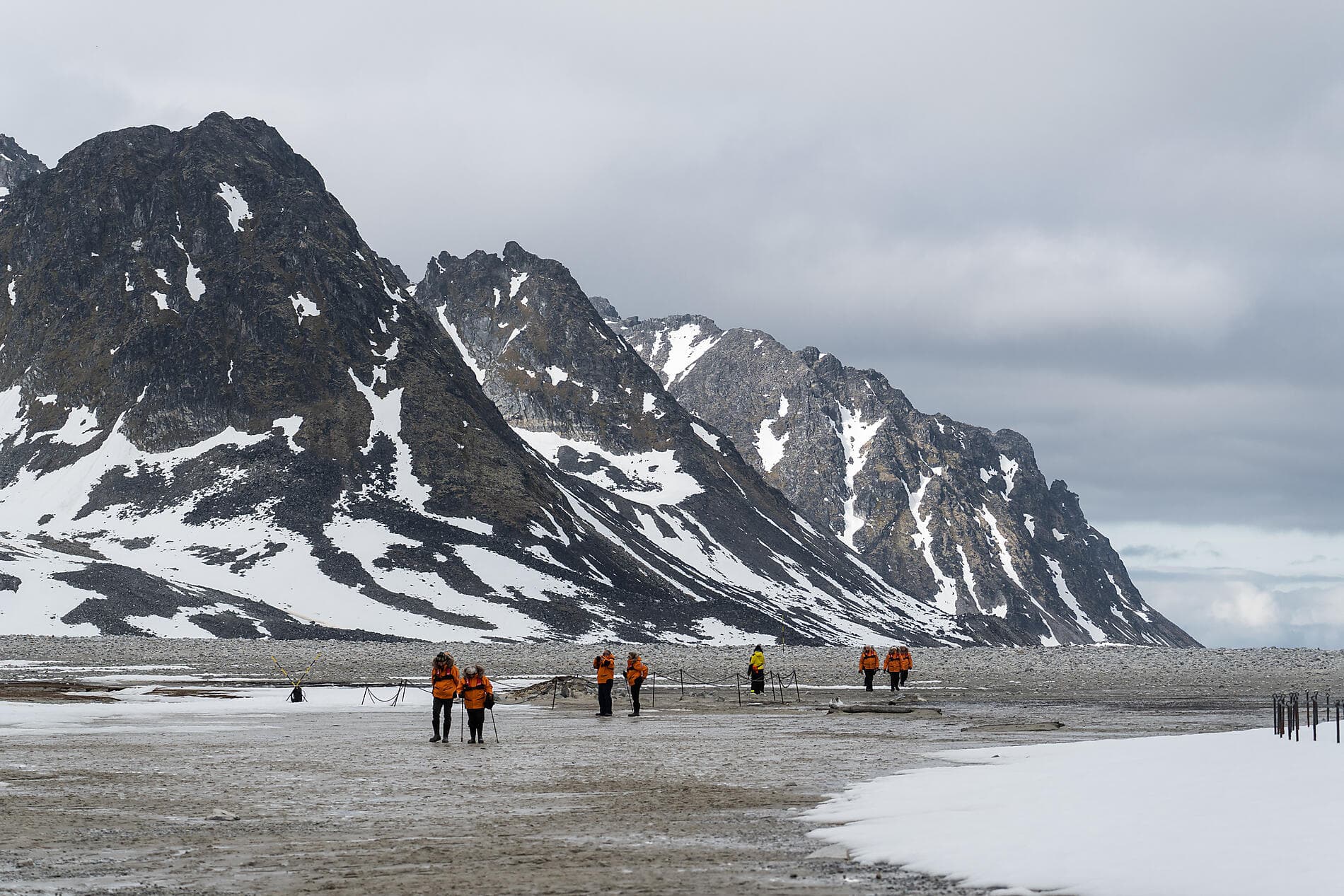 Au cœur des glaces de l'Arctique, du Groenland au Svalbard
