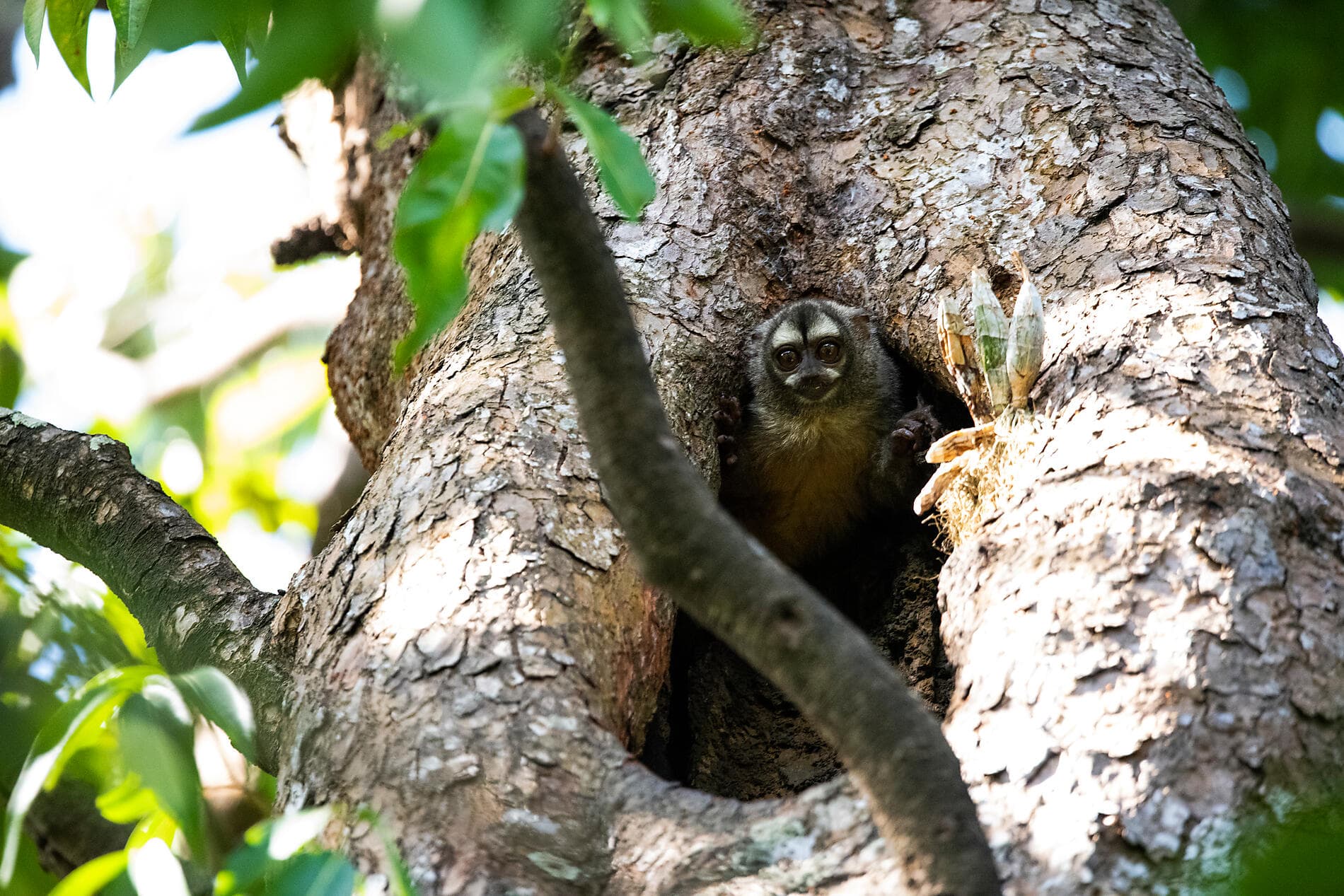 De la beauté sauvage du Panama aux rivages péruviens 