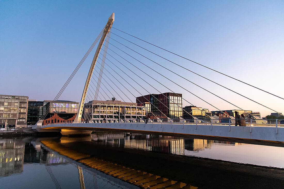 Tour panoramique de Dublin avec déjeuner