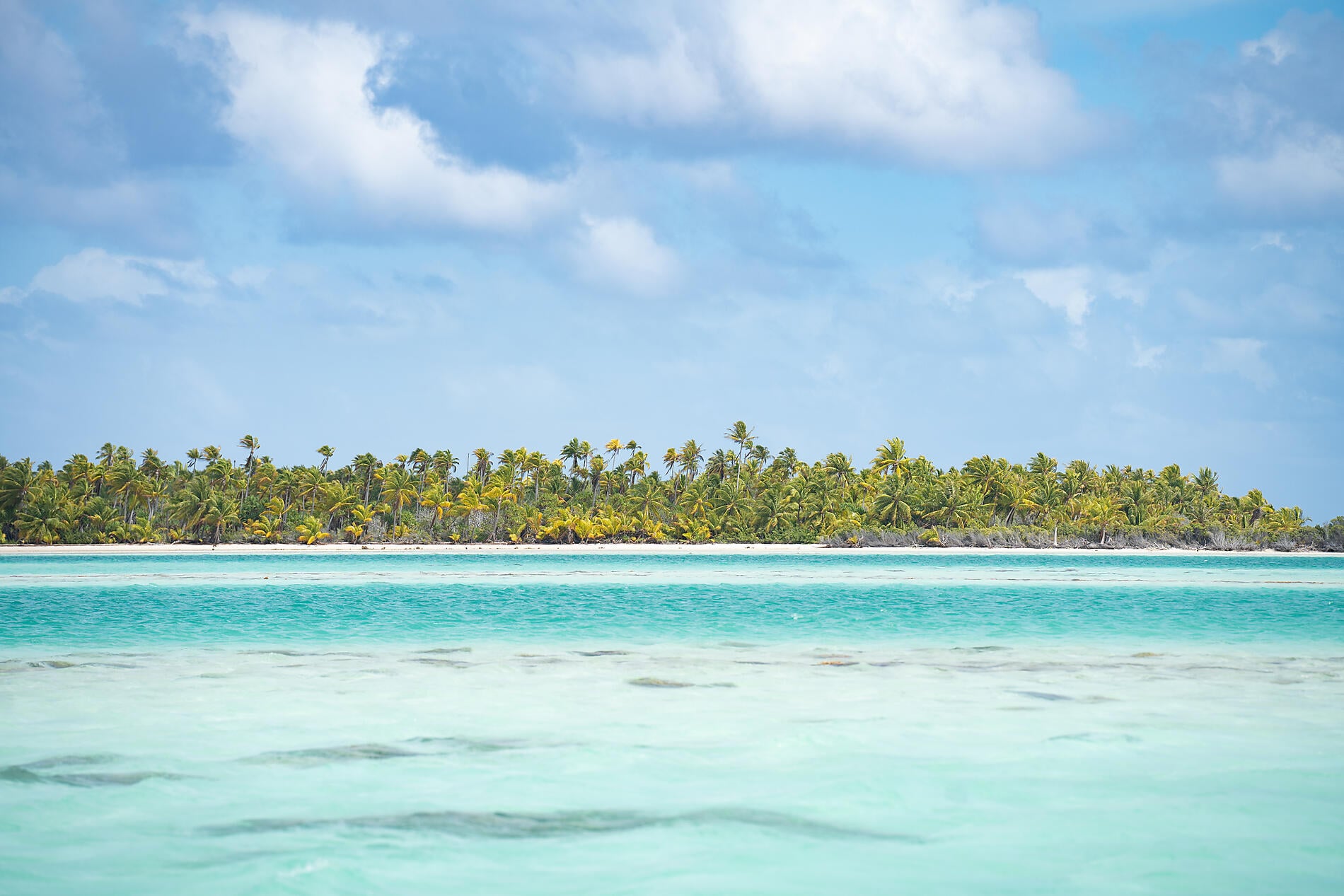 No-2134_N191022_Papeete-Papeete©StudioPONANT-Soizic Roux (1).JPEG